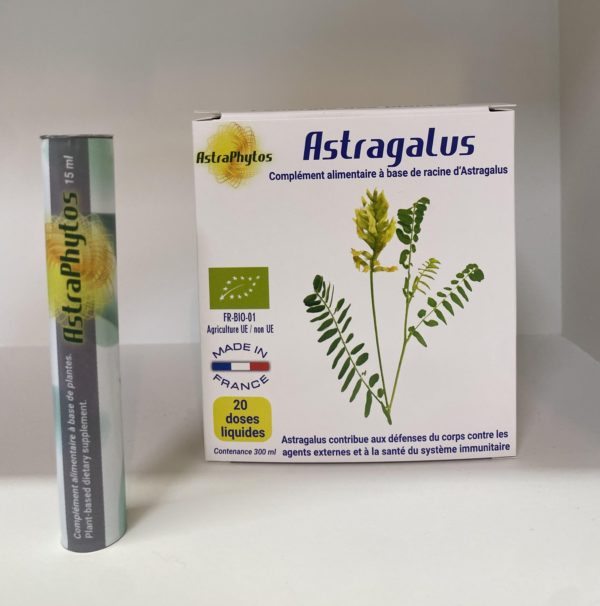Astragale - Astragalus ampoules - Astraphytos