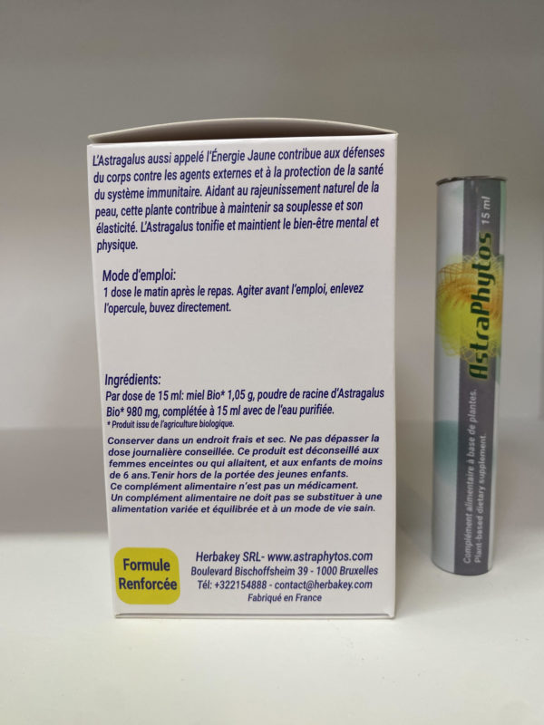 Astragale - Astragalus ampoules - Astraphytos – Image 2