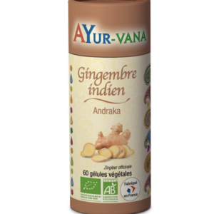 andraka-bio-gingembre-indien-ayurvana-ayurvedique-ayurveda-oullins-lyon-ma-boutique-holistique-grain-d-orge-medecine-indienne-chakra