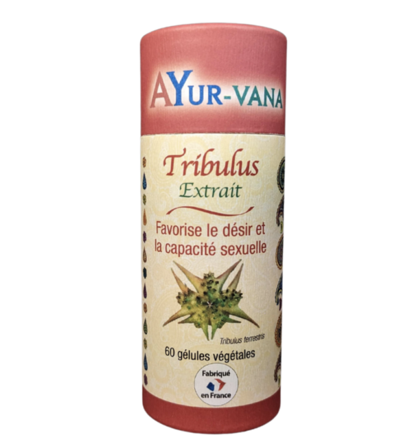 Tribulus-ayurvana-medecine-indienne-ayurvédique-ayurveda-grain-d-orge-ma-boutique-holistique-oullins-lyon