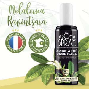 ravintsara-arbre-a-the-aromaspray-grain-d-orge-ma-boutique-holistique-oullins-lyon