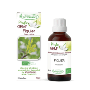 Macérat de bourgeons figuier 40ml