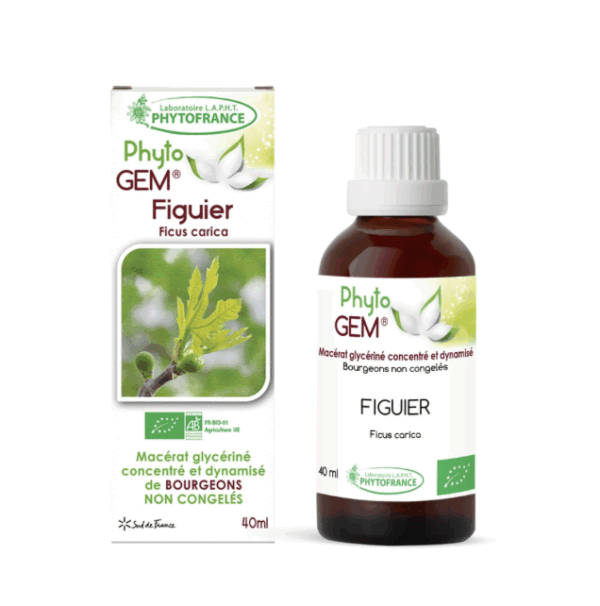 Macérat de bourgeons figuier 40ml